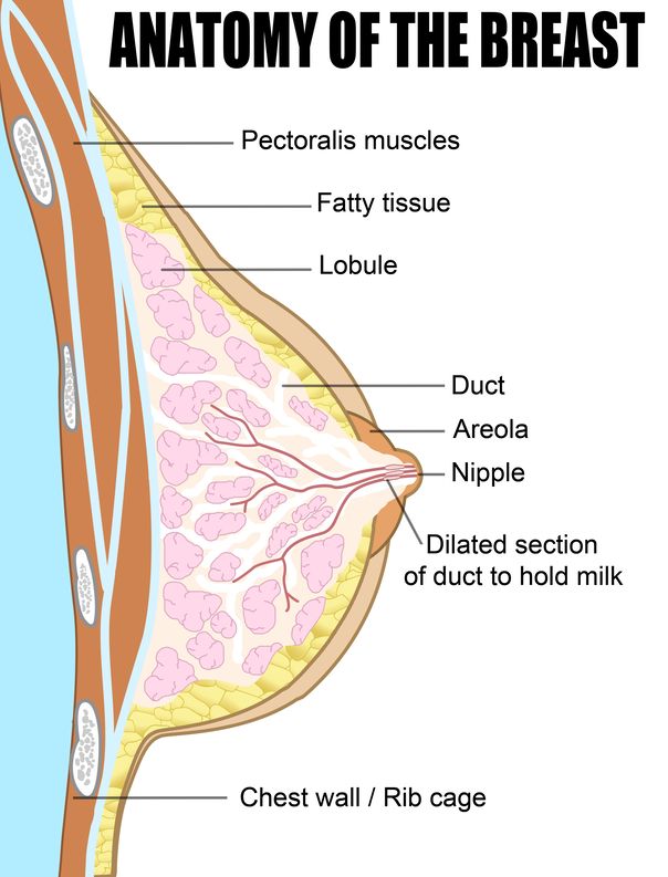 breast milk supply