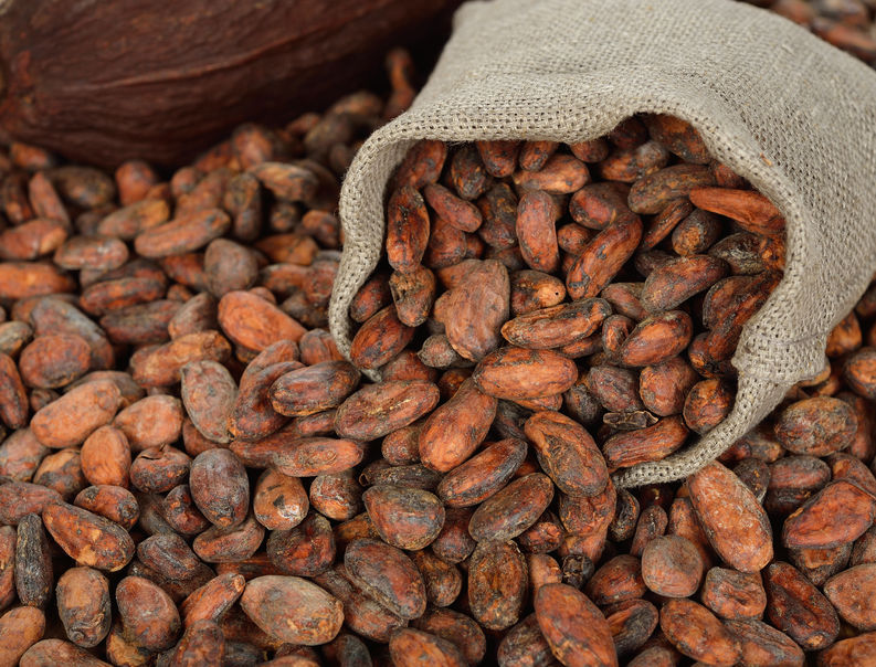 cocoa beans keto