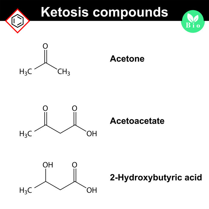 ketone bodies