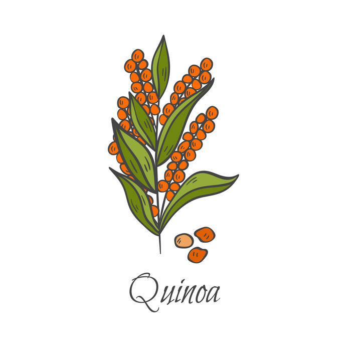 can you eat quinoa on keto