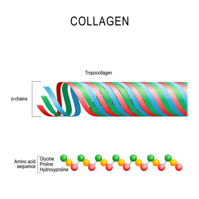 Molecular structure of collagen which is important on a keto diet.