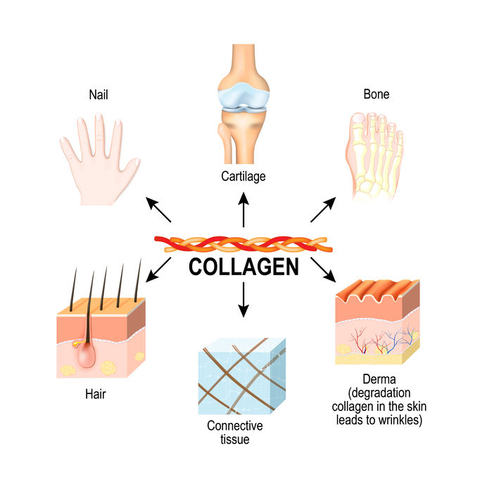 Collagen is crucial in the body especially for the keto diet.