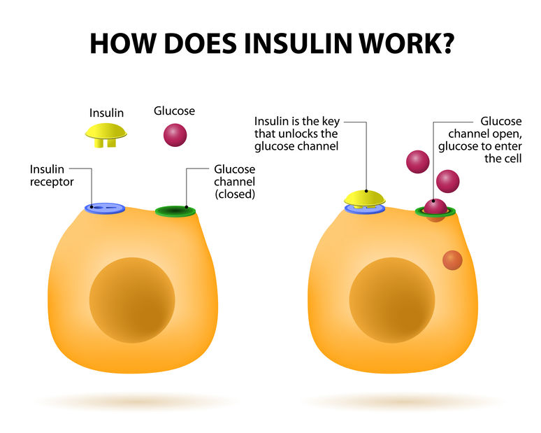 How does insulin work on the keto diet?
