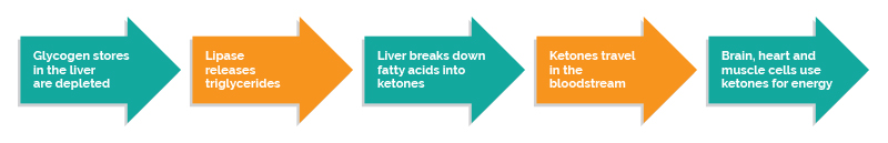 Approved Science® Keto releases ketones in the blood stream to boost ketosis.