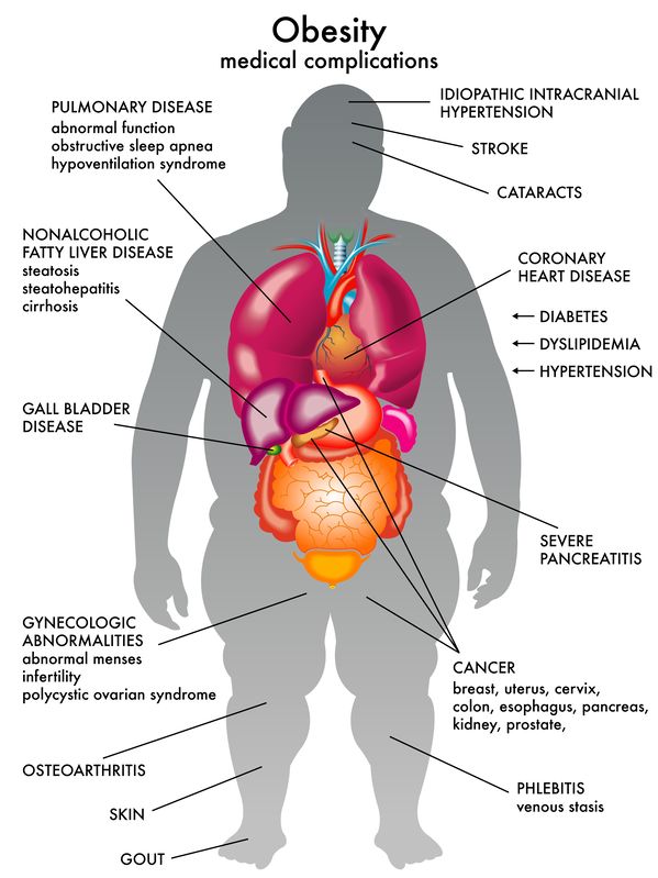 Research on obesity and weight control indicates that these 4 supplements can help!