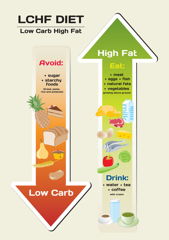 Diet Low Carb High Fat (LCHF) infographic