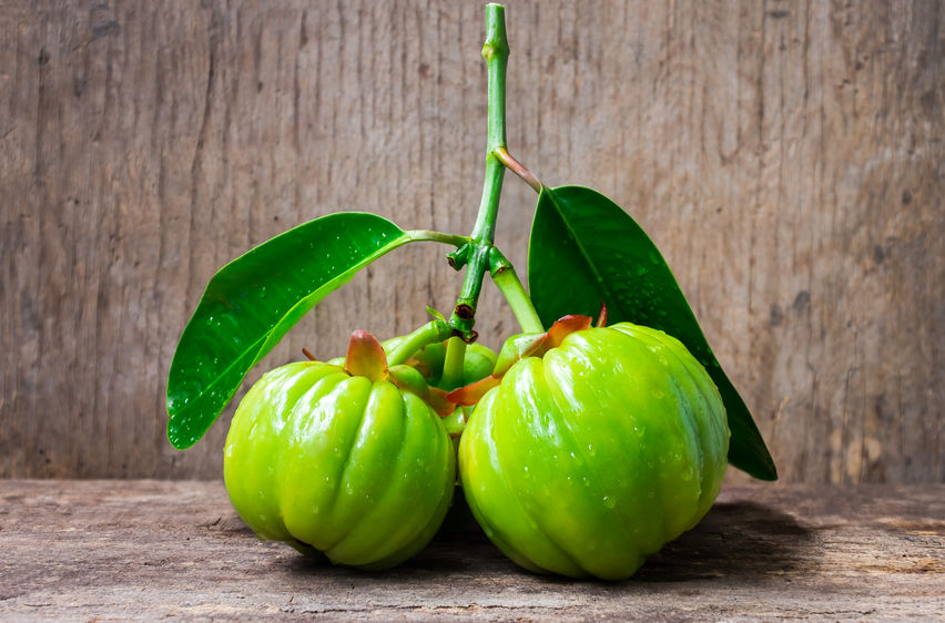 Research on obesity and weight control indicates that Garcinia Cambogia can help.