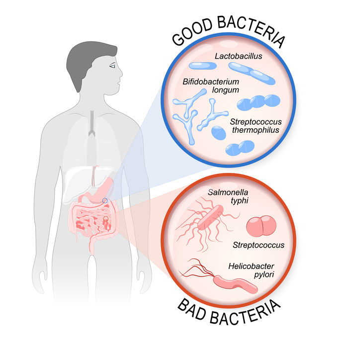 Keto hack #2: Take care of your gut health and bacteria.