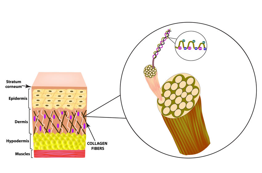 Fish collagen boosts skin health.