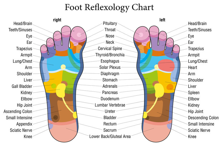 What Is Reflexology And Does It Really Work? - Sample reflexology map