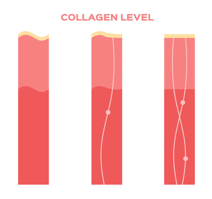 Use APPROVED SCIENCE® COLLAGEN POWDER in Smoothie Recipes To Help Maintain Skin Tightness And Elasticity
