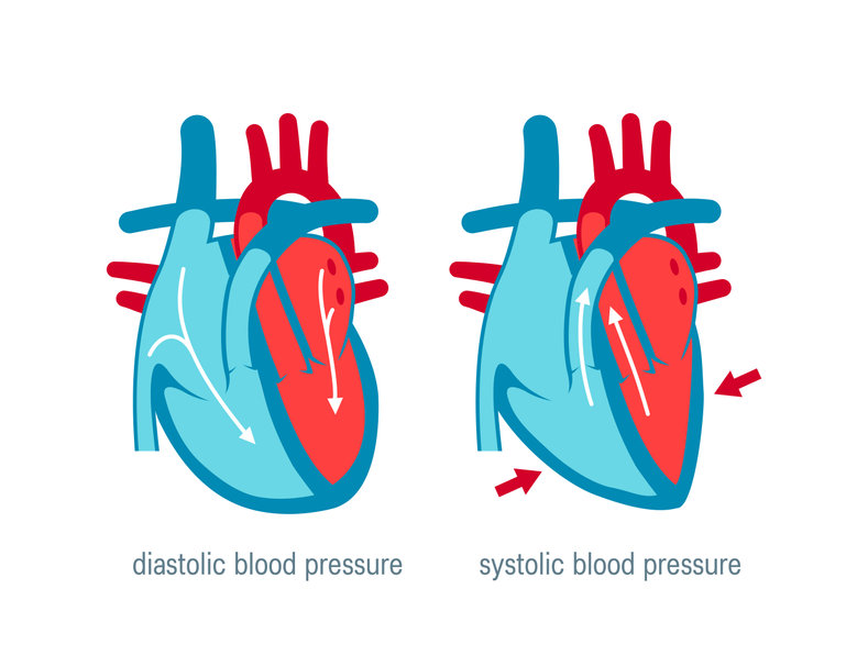 Diastolic and systolic blood pressure