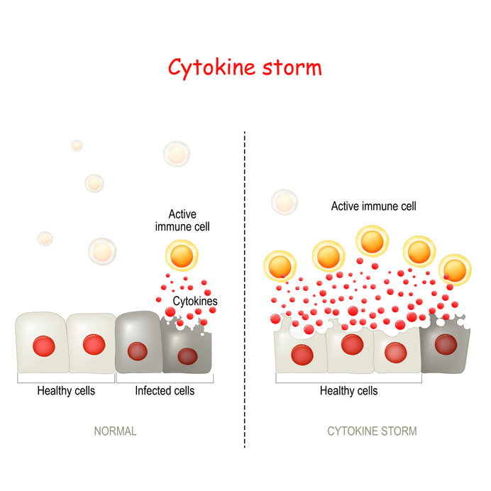 How aging causes inflammaging.