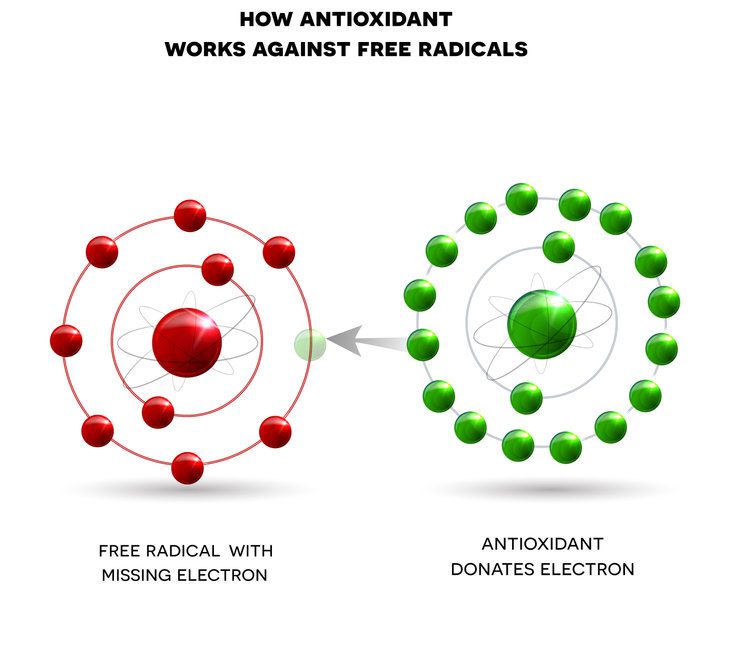 How do the best organic antioxidant supplements work against free radicals? By donating a missing electron.