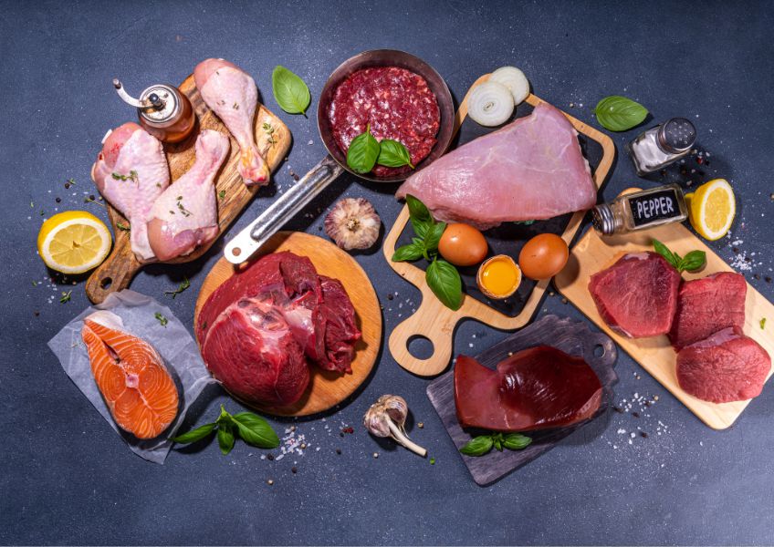 Image of permitted foods on the Carnivore Diet, including meat, poultry, fish, eggs.
