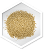 Nitric Oxide MD™ Reviews: Avena Sativa (Oat)