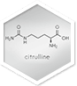 L-Citrulline