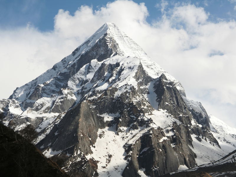Approved Science Shilajit - questions answered