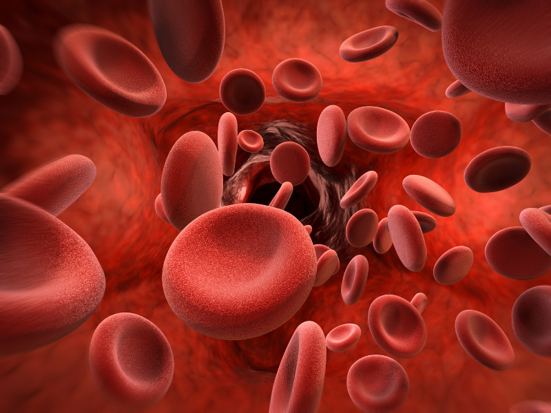 Anemiaprin Reviews: More Than Just An Iron Pill?