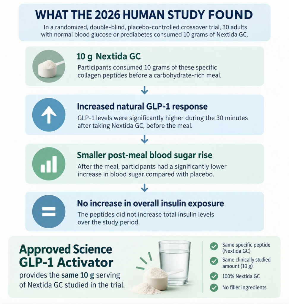 Infographic summarizing a 2026 study: 10g Nextida GC increased GLP-1, reduced blood sugar, but didnt increase insulin exposure. Approved GLP-1 Activator provides that same clinically studied dose.