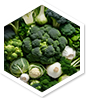 Approved Science® Fruits & Veggies ingredient 7