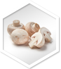 Approved Science® Mushroom Complex ingredient 3