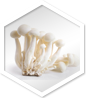 Approved Science® Mushroom Complex ingredient 9