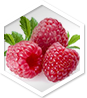 Raspberry Ketone MD™ ingredient 1